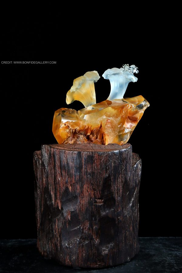 Amber Blossom Elegance 4