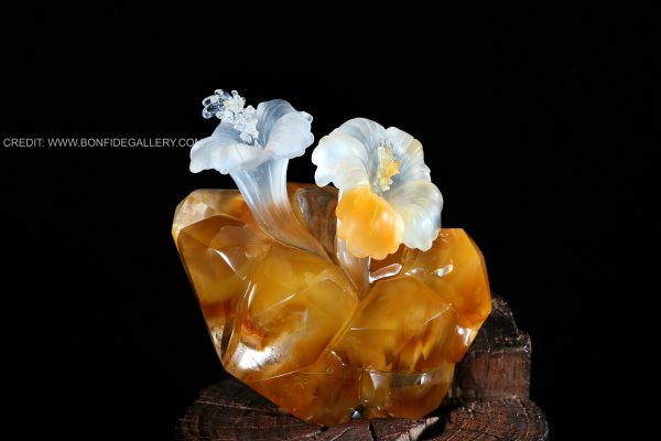 Amber Blossom Elegance 5