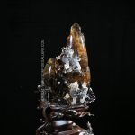 Celestial Dragon Harmony 1