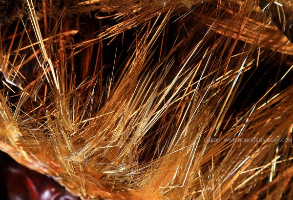 Celestial Dragon Radiance 6