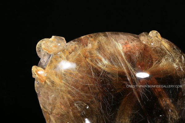 Celestial Dragon Visage 3