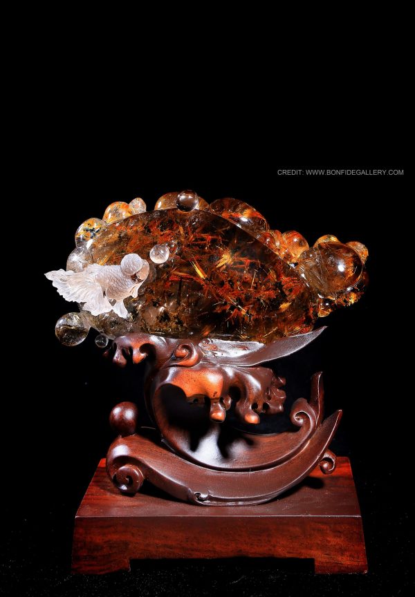 Celestial Gem Toad 1