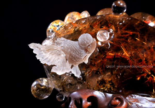 Celestial Gem Toad 3