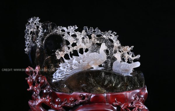 Celestial Peacock Elegance 2