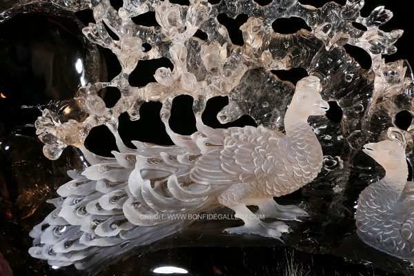 Celestial Peacock Elegance 4