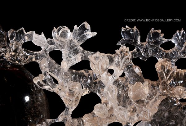 Celestial Peacock Elegance 5