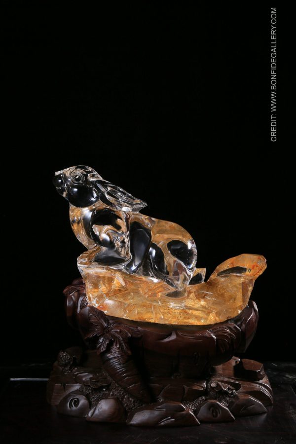 Celestial Turtle Harmony 1