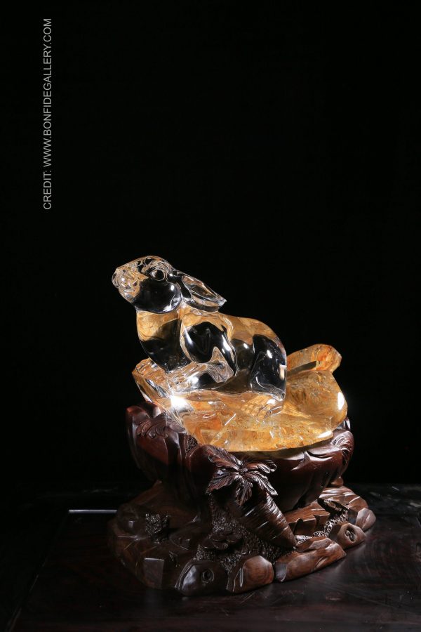 Celestial Turtle Harmony 2