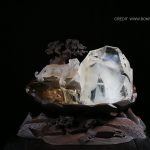 Crystal Apex Tiger 1