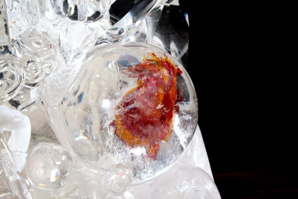 Crystal Divine Guardian 5