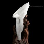 Crystal Guardian Essence 1