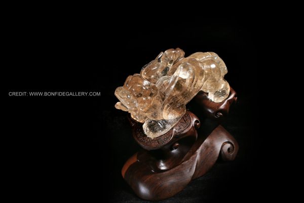 Crystal Guardian Lion 1 4