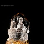 Crystal Guardian Majesty 1