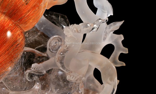 Crystal Harmony Lobster 6