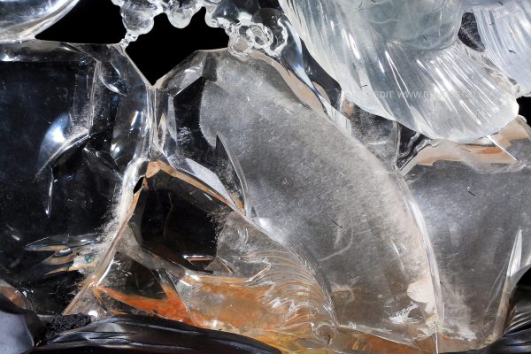 Crystal Koi Harmony 4