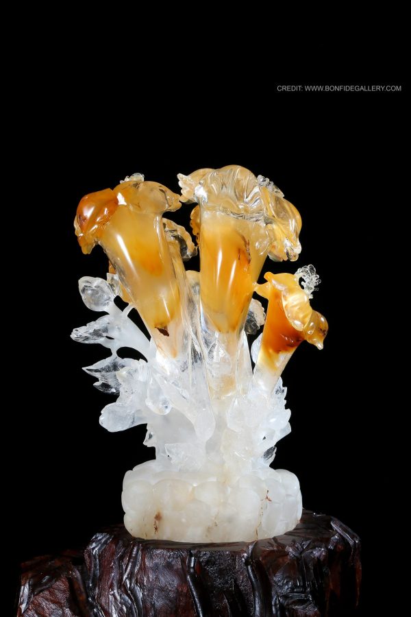 Ethereal Glass Corals 10