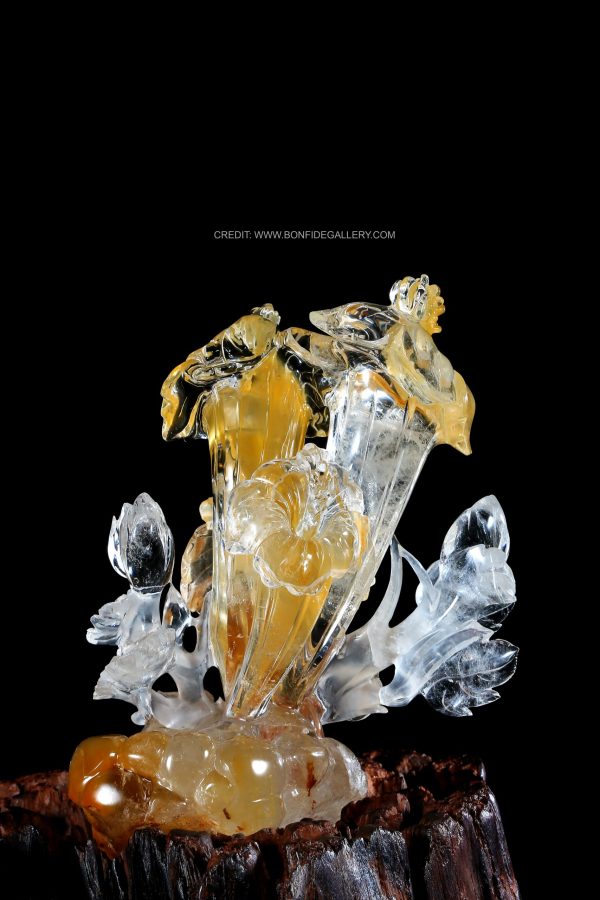 Ethereal Glass Corals 3