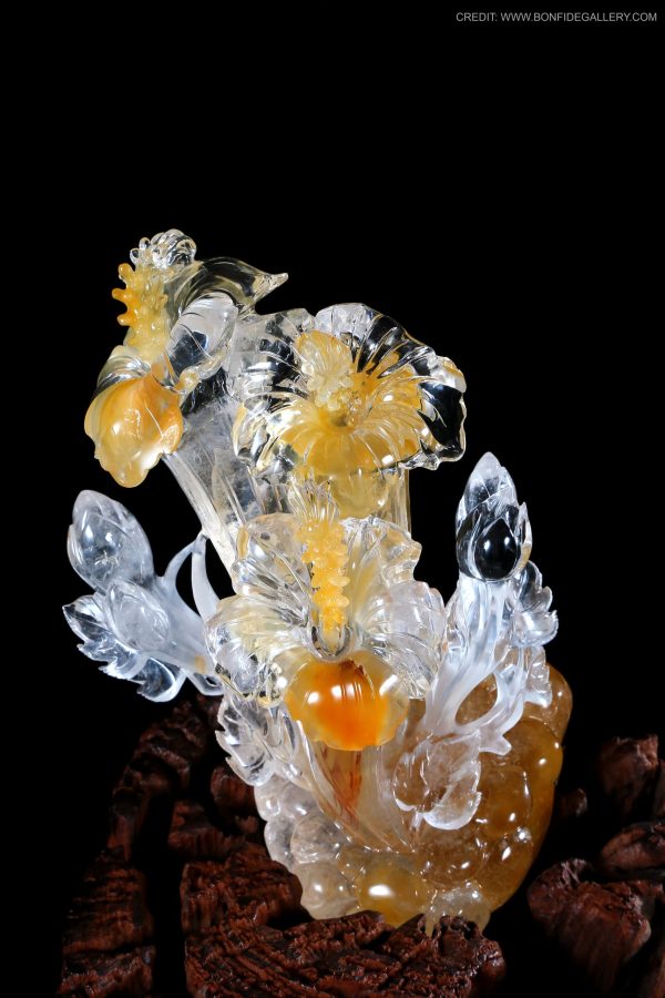 Ethereal Glass Corals 5