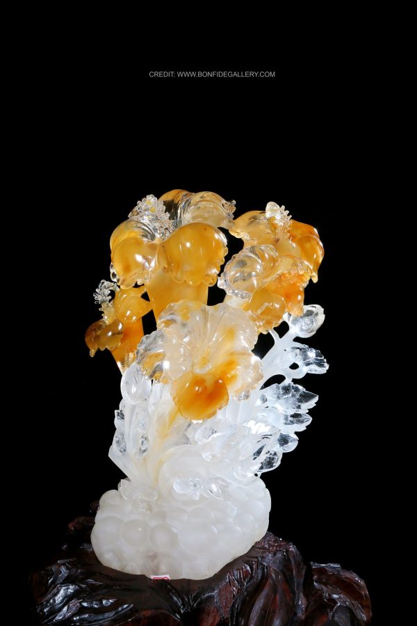 Ethereal Glass Corals 8