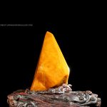 Golden Sail Reverie 1