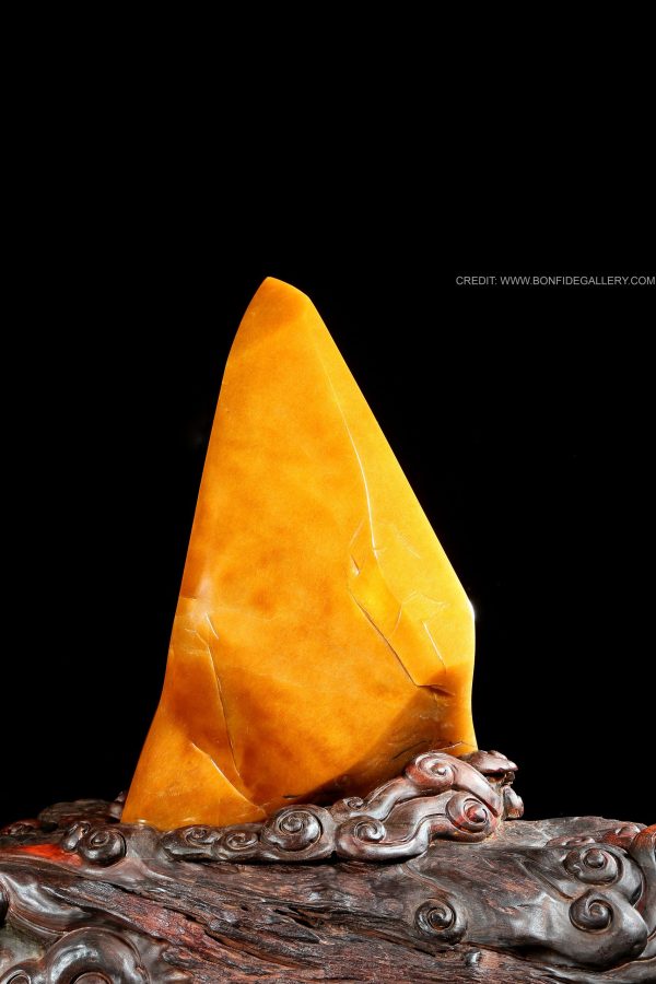 Golden Sail Reverie 2