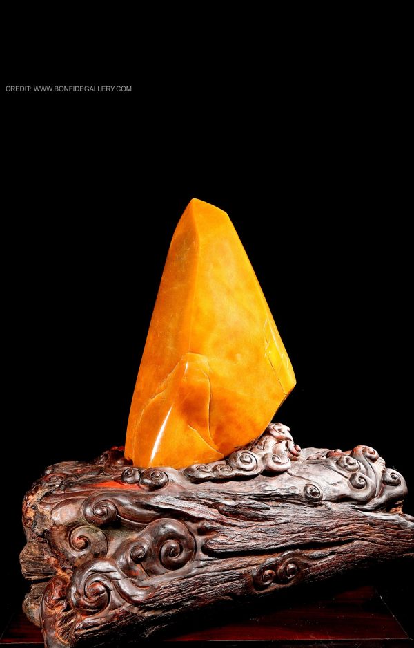 Golden Sail Reverie 4