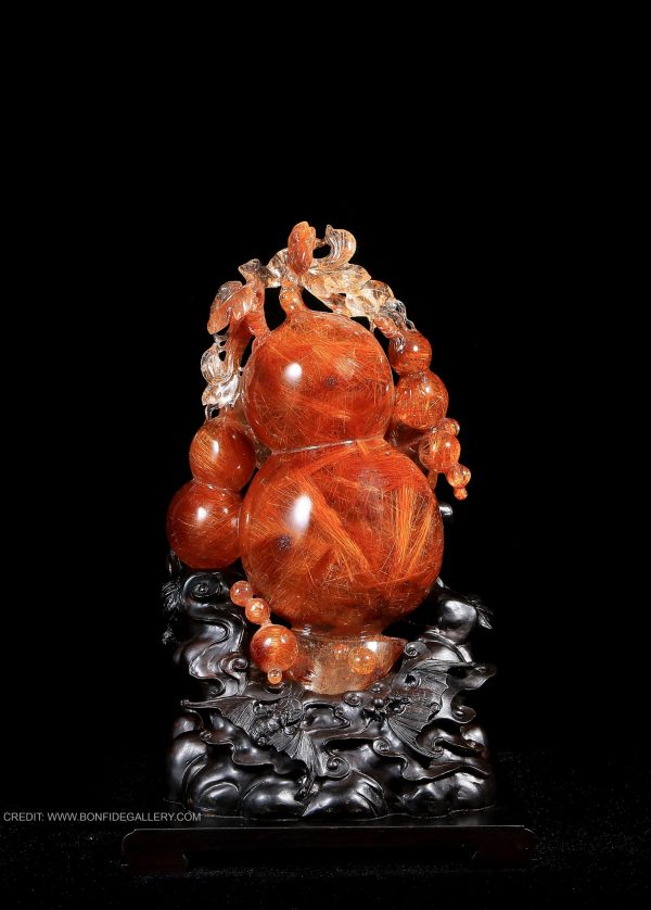 Radiant Gourd Harmony 1