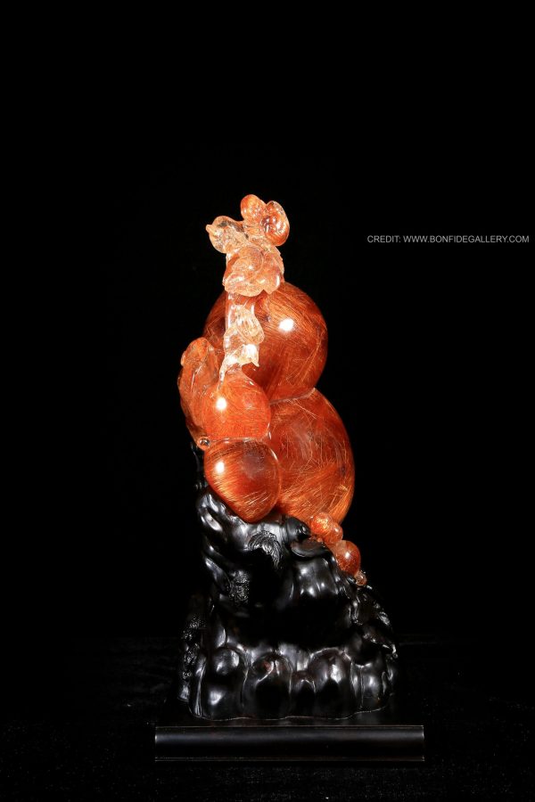 Radiant Gourd Harmony 3