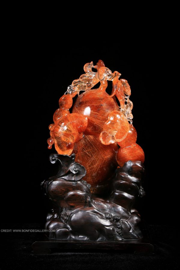 Radiant Gourd Harmony 4