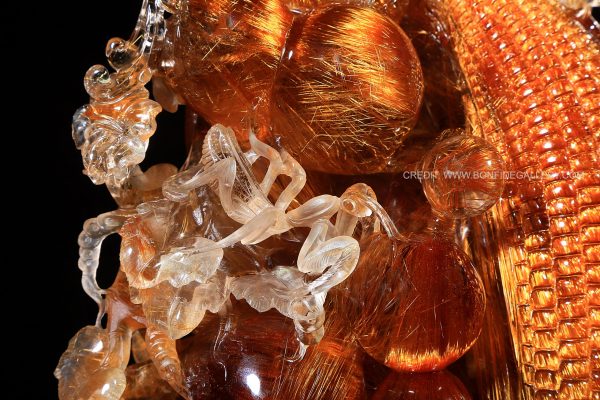 Radiant Harvest Elegance 6