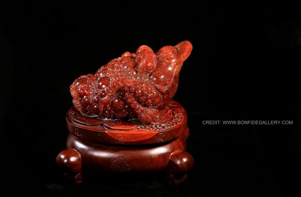 Ruby Frog Abundance 1