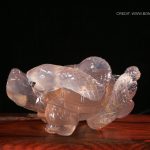 Serpentine Harmony Turtle 1