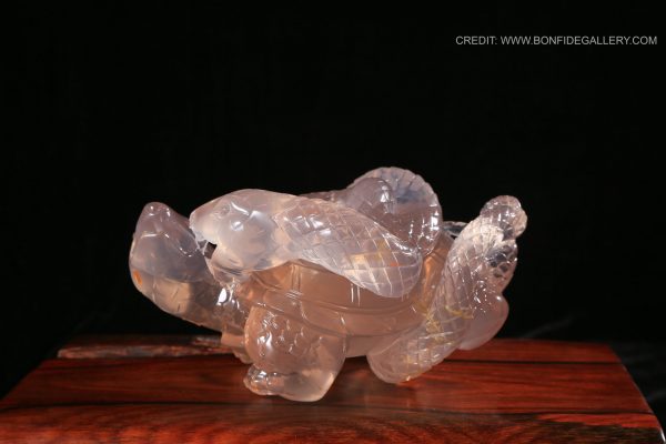 Serpentine Harmony Turtle 1