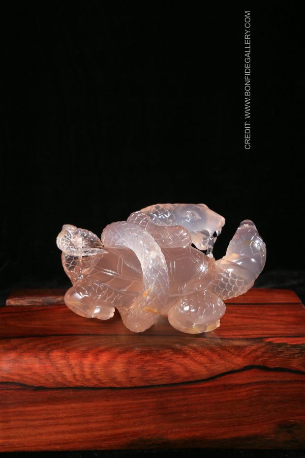 Serpentine Harmony Turtle 3