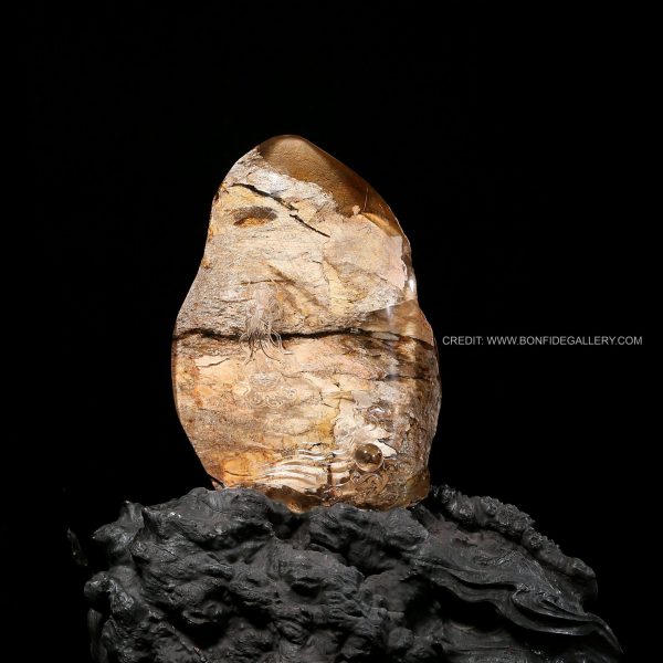 Terra Avian Essence 1