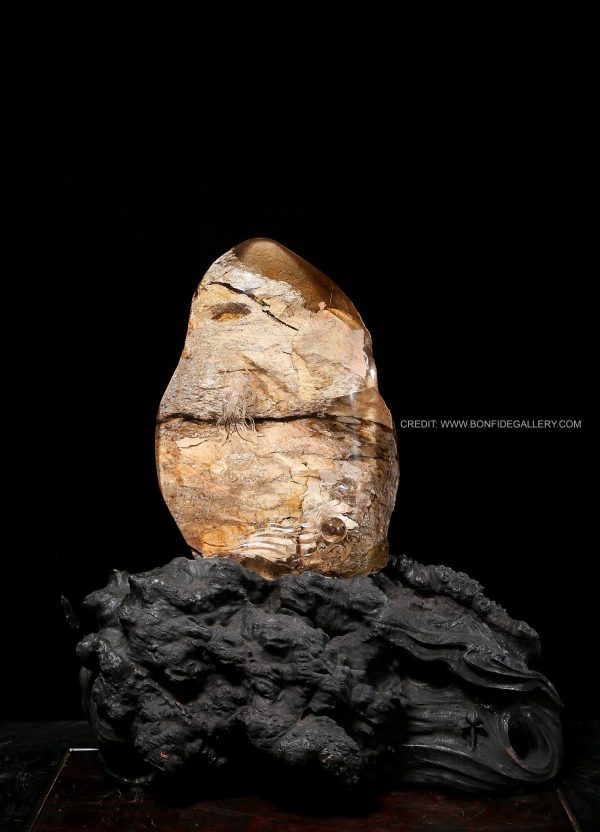 Terra Avian Essence 1