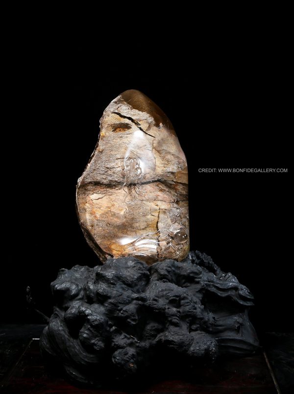 Terra Avian Essence 2