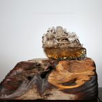 Tranquil Buddha Harmony 1