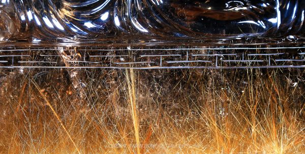 Tranquil Crystal Monk 4