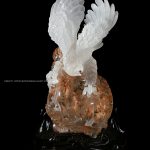 Translucent Aerial Majesty 1