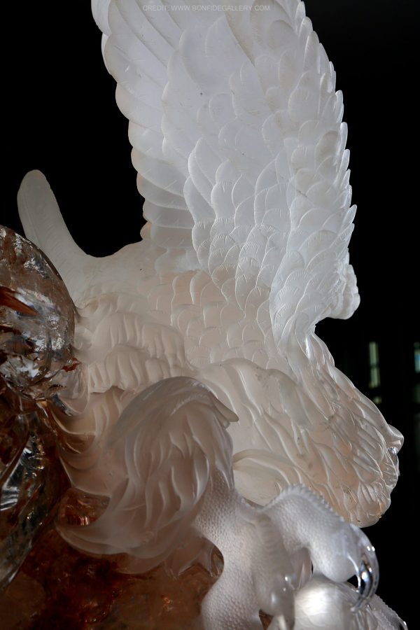 Translucent Aerial Majesty 4