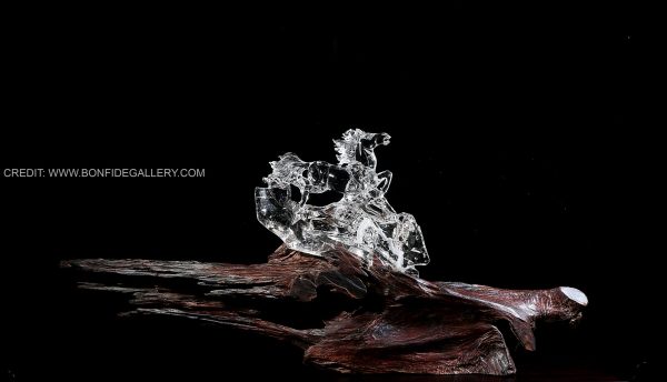 Transparent Equine Dynamics 1