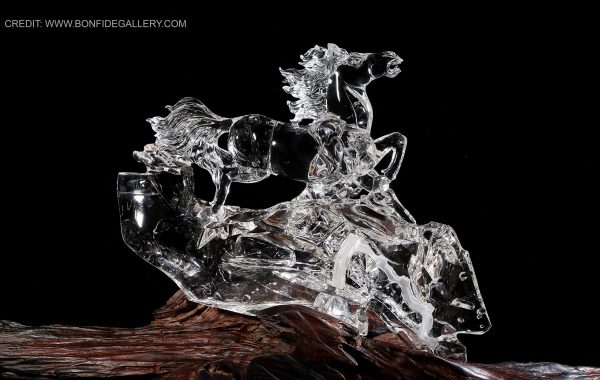 Transparent Equine Dynamics 2