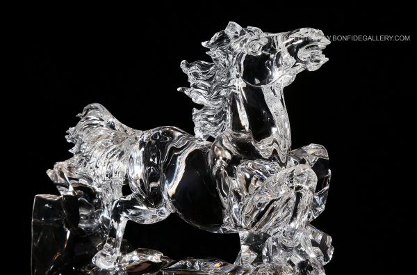 Transparent Equine Dynamics 3