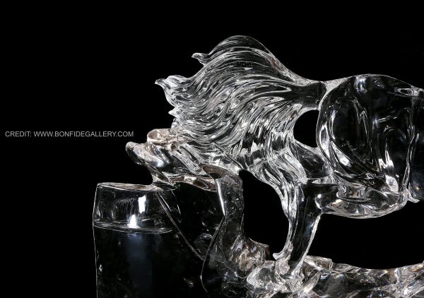 Transparent Equine Dynamics 5